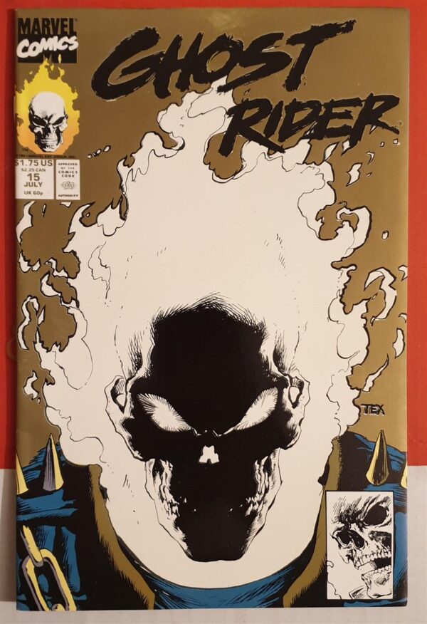 Ghost Rider vol. #3 15